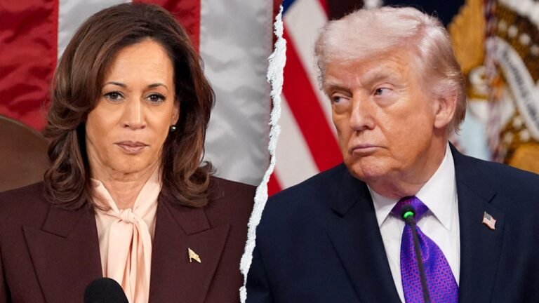 Kamala Harris mimics Trump as mob boss at National Action Network forum