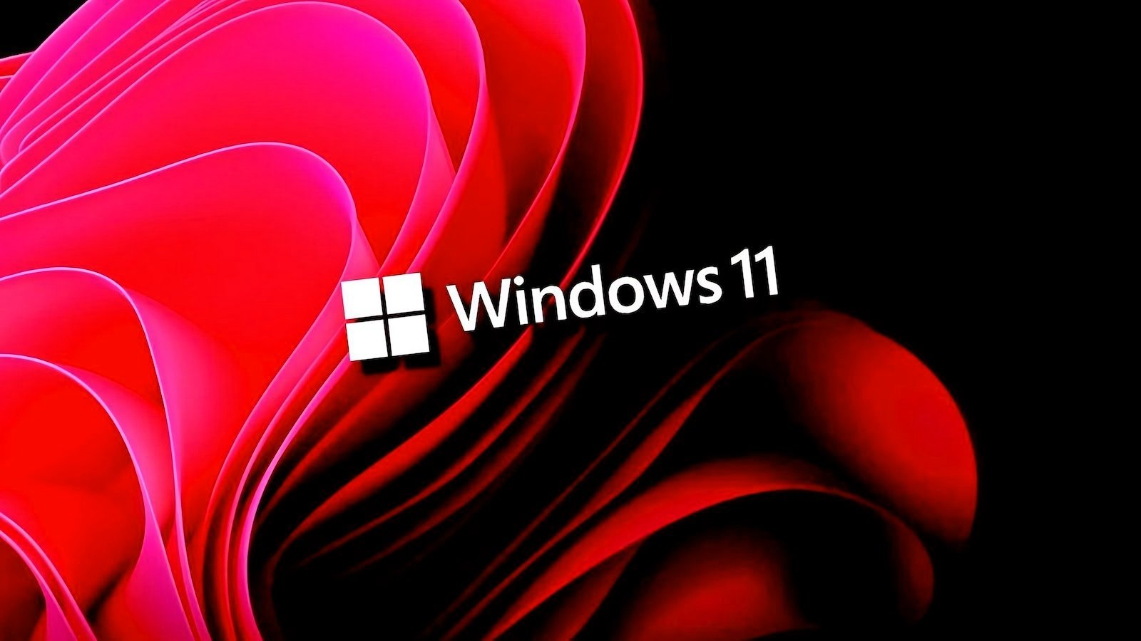 1777563229_Windows-11.jpg