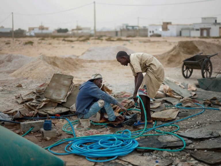 EU-backed migrant crackdowns in Mauritania fuel fear and deportations | Migration