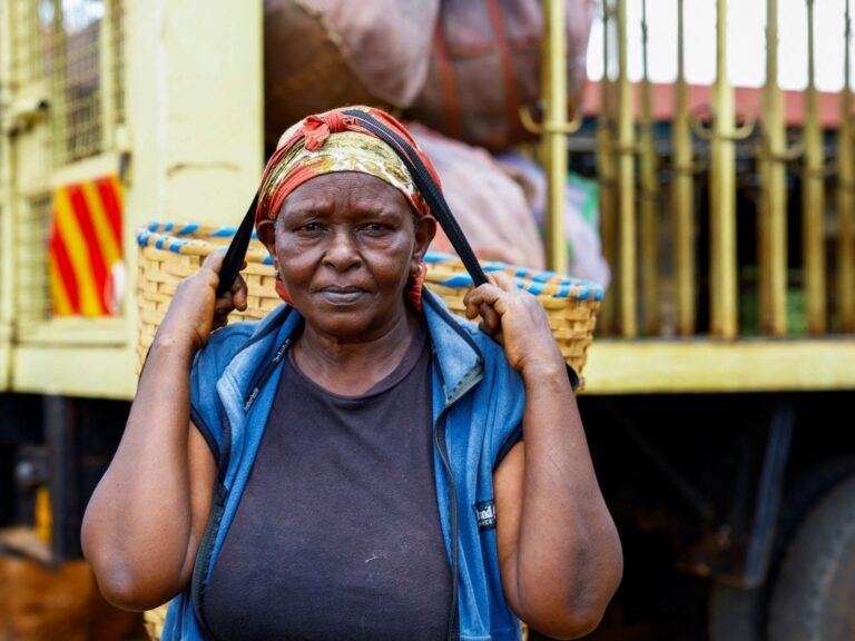 Kenya’s tea industry suffers crisis caused by the US-Israeli war on Iran | US-Israel war on Iran