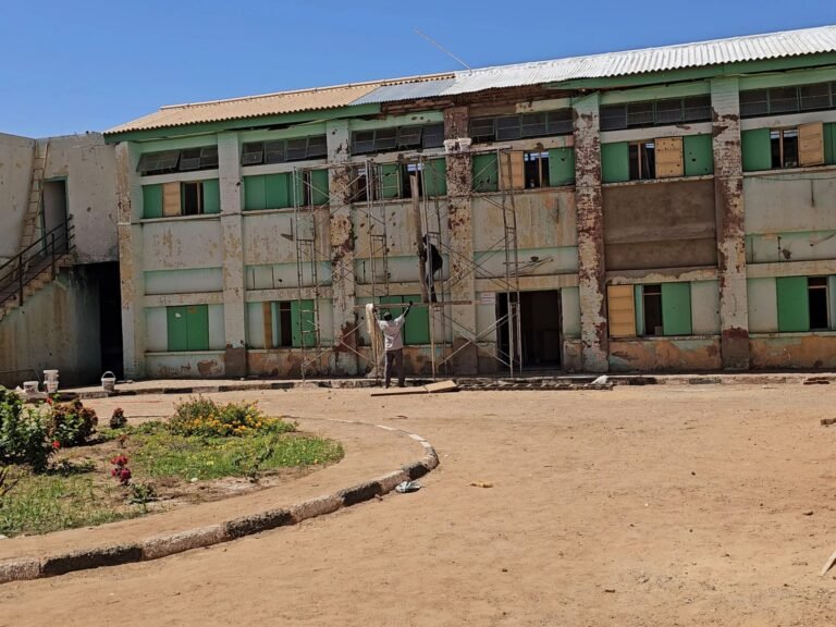 Inside war-hit Sudan’s only functioning hospital curing tropical diseases | Sudan war News