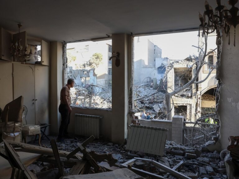 Refugee in my own city: Surviving Tehran’s bombing, with my cat for company | US-Israel war on Iran News