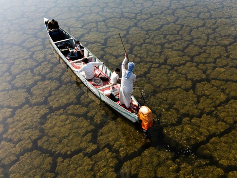 Rains revive Iraq’s wetlands after years of drought | Climate News
