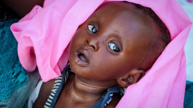 Nearly eight million people in South Sudan at risk of acute hunger: NGOs | Conflict News