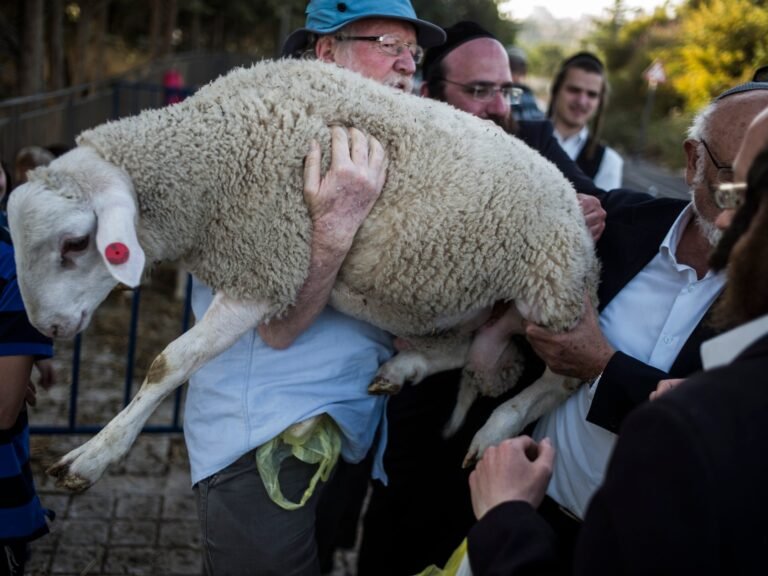 Record animal sacrifice attempts at Al-Aqsa prompt status quo fears | Al-Aqsa Mosque News