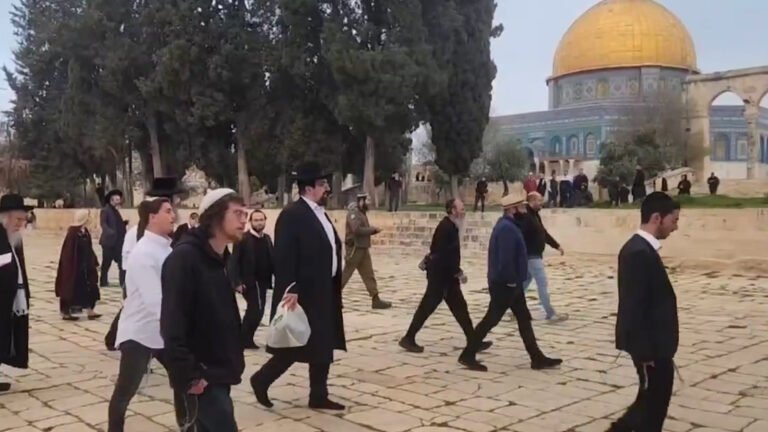 Israeli settlers storm Al-Aqsa Mosque compound after reopening | Occupied East Jerusalem