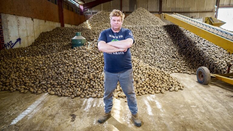 Ozempic and Mounjaro use blamed for leaving potato farmers with unusual surplus