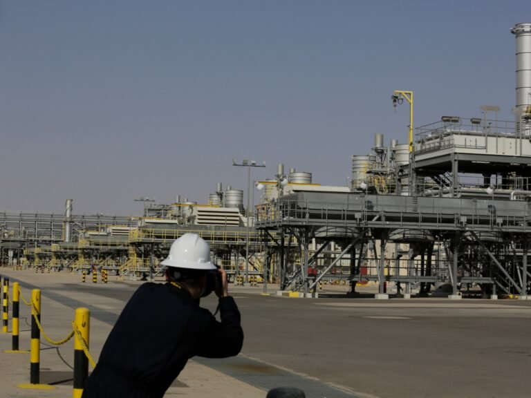 What are OPEC and OPEC +, and why has the UAE quit? | OPEC News