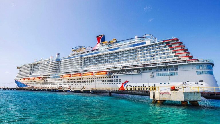 California nurse awarded $300k after downing 14 shots and blaming cruise for blacking out