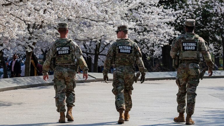 Conservative watchdog claims DC lacks standing to sue over National Guard