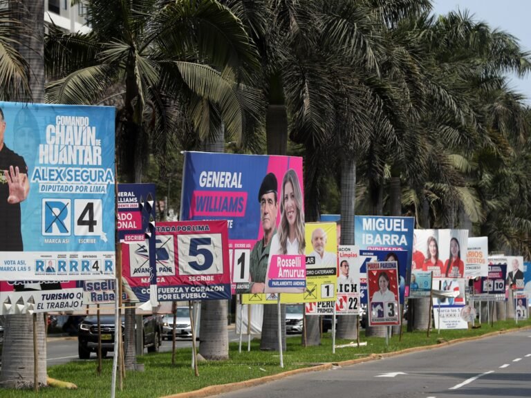 A record-breaking field: What to expect from Peru’s presidential election | Elections News