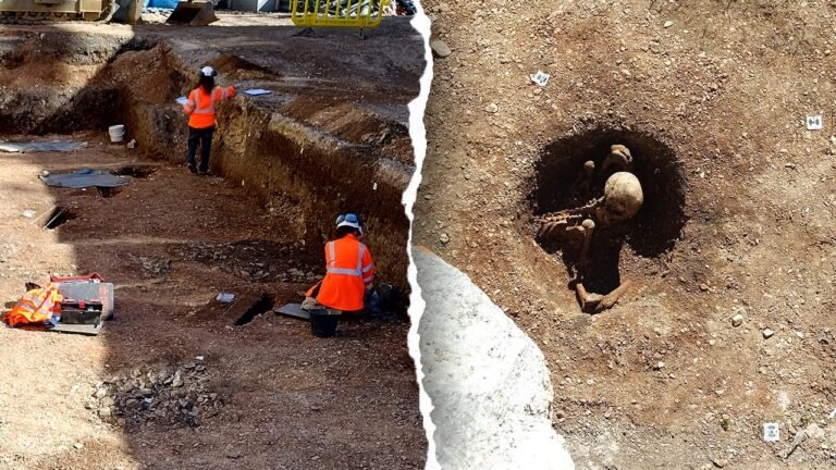 Ancient skeletons in ‘seated’ position unearthed beneath school in Dijon, France