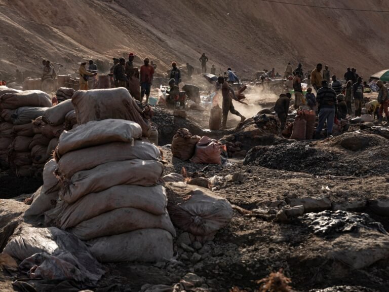 DR Congo to establish US-backed paramilitary guard for mines | Mining News