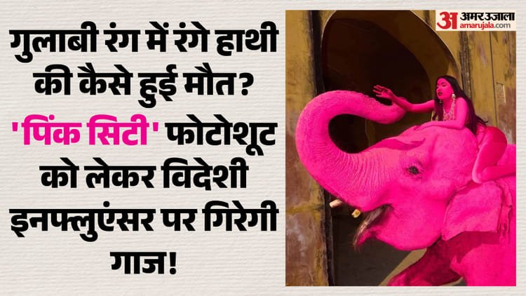 Controversy Erupts In Jaipur After Elephant Painted Pink Dies; Probe ordered – Jaipur News