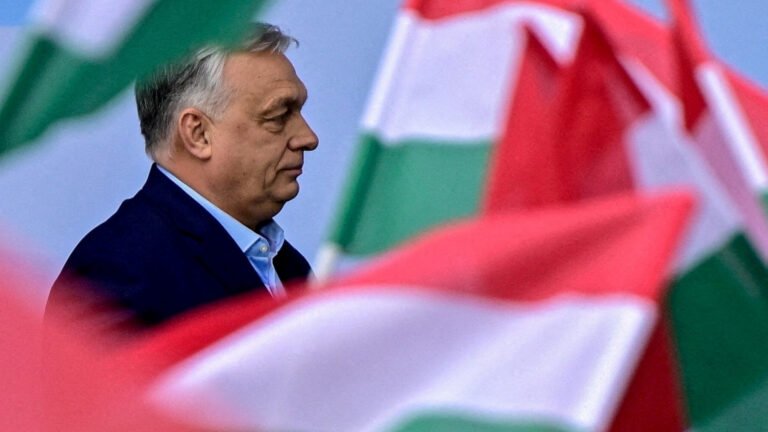 Why is Hungary’s election so important on the international stage? | Elections
