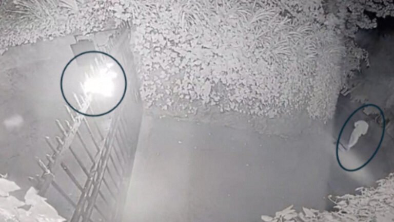 Man charged with attempted murder of OpenAI CEO Sam Altman | News