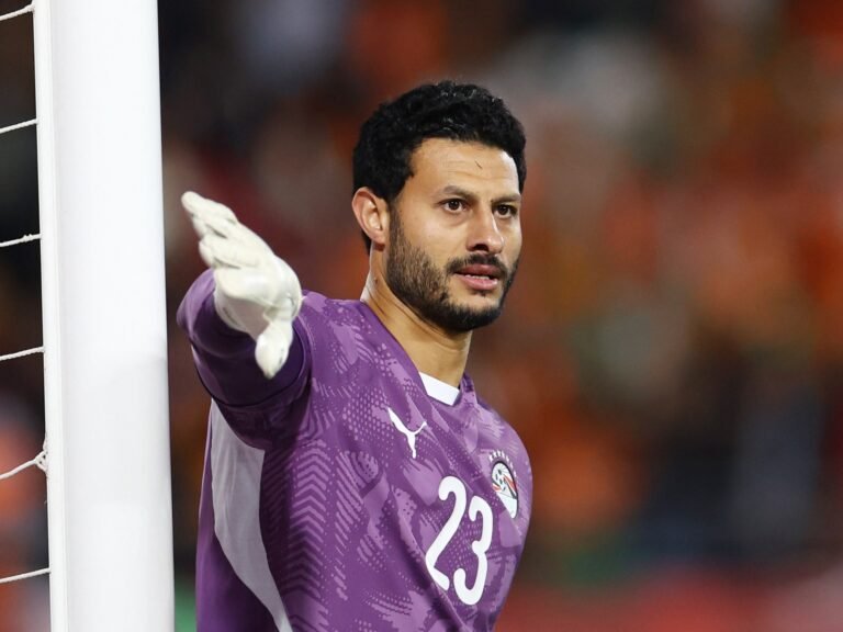 Egypt and Al-Ahly keeper El-Shenawy banned four games for striking referee | Football News