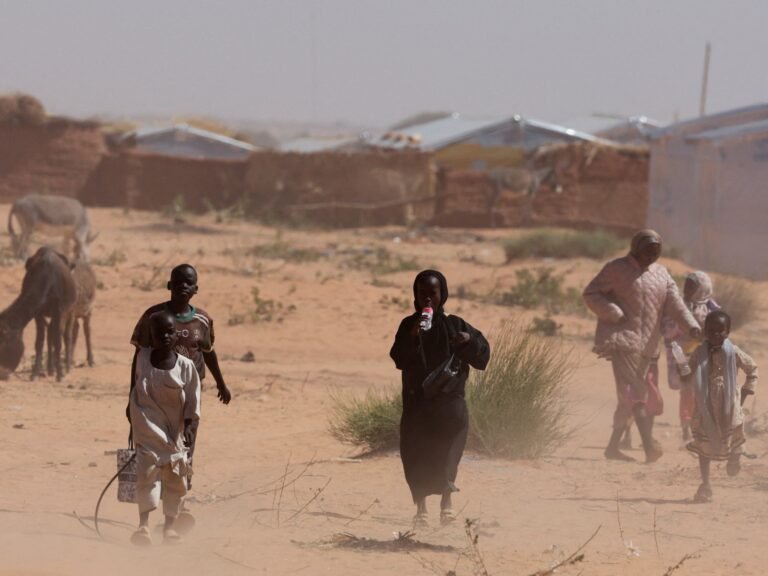 Thousands held by paramilitary RSF in Sudan’s el-Fasher: NGO | Sudan war News