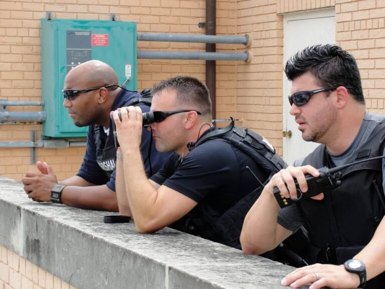 CISA, NCSC issue Firestarter backdoor warning • The Register