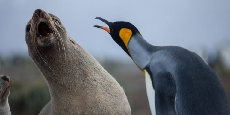 Linux cryptographic code flaw offers fast route to root • The Register