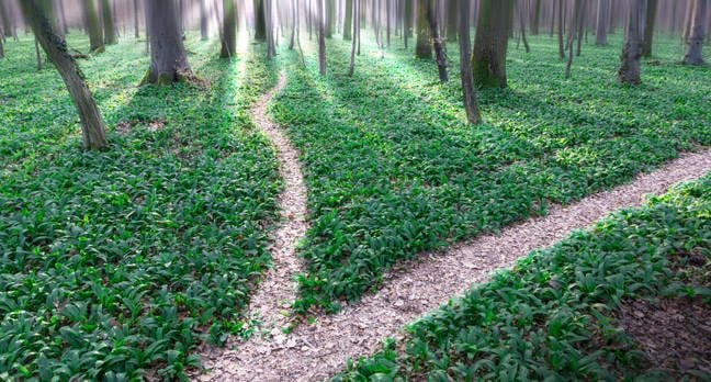 Microsoft and OpenAI’s open relationship is now official • The Register