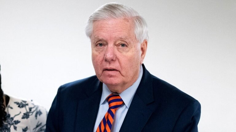 Sen. Lindsey Graham urges ‘Second Amendment solution’ to topple Iranian regime