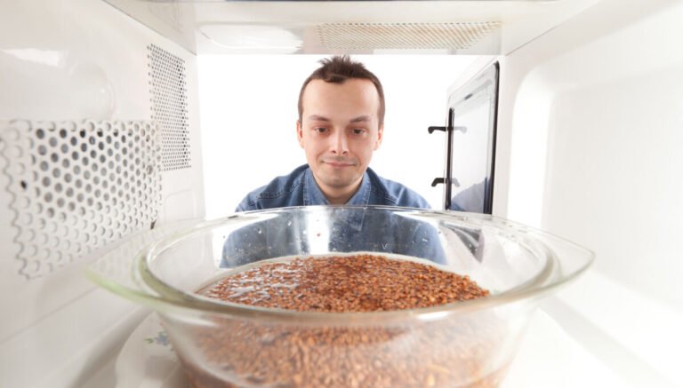 Lab worker built a fake PC to nuke his lunch