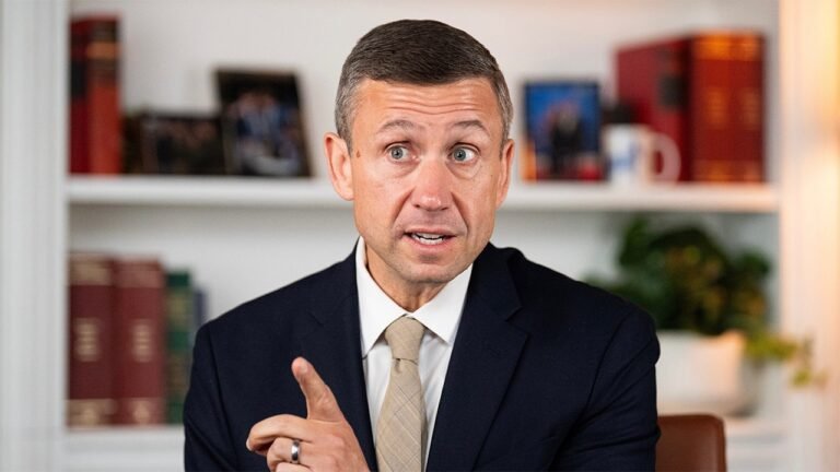 Democrats release 2024 election autopsy that chair says ‘does not meet my standards’