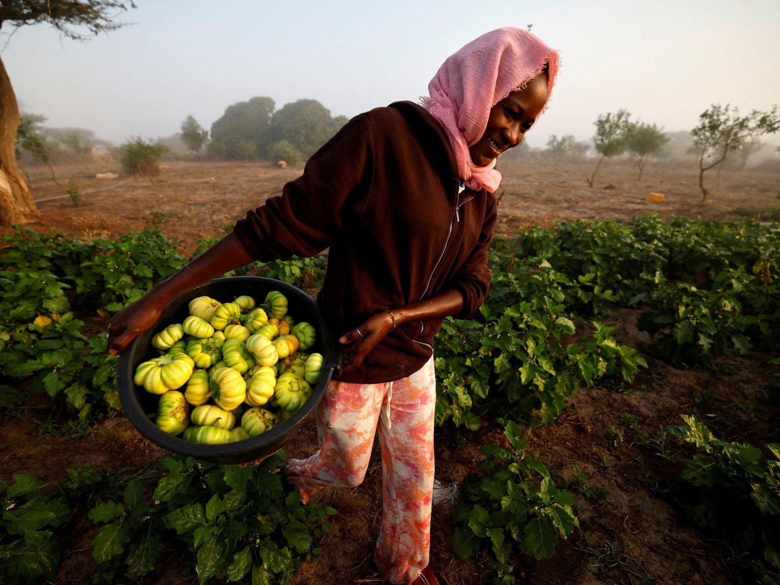 2023-01-26T153303Z_574536066_RC2WWY96OKZW_RTRMADP_3_AFRICA-FOOD-SECURITY-FARMER-1778929753.jpg