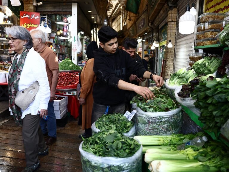 Food inflation hammers households in war-hit Iran | US-Israel war on Iran News