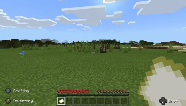 Swatting hoax sees cops raid elderly Minecraft player’s home