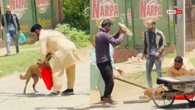 Budgam News: Beaten with sticks and stones, dog brutally killed in Kashmir, horrifying video goes viral