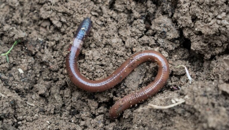 Worm rubs out competitor’s malware, then takes control