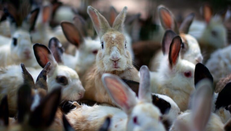 Welcome to the vulnpocalypse, as vendors use AI to find bugs and patches multiply like rabbits