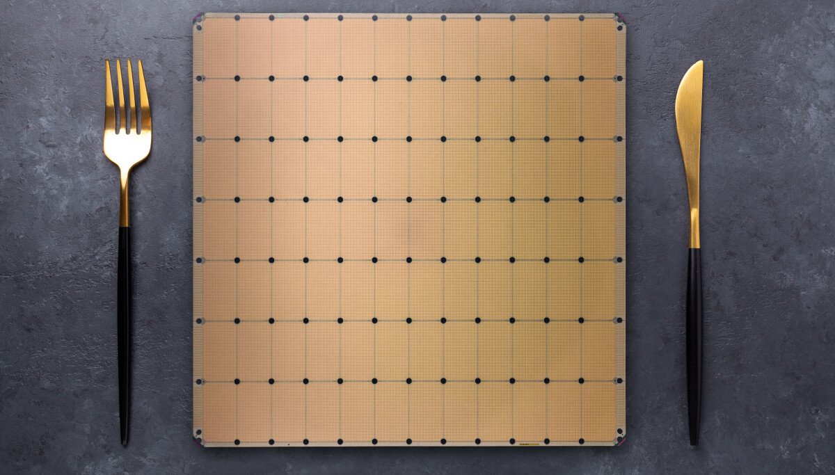 5240836.jpg