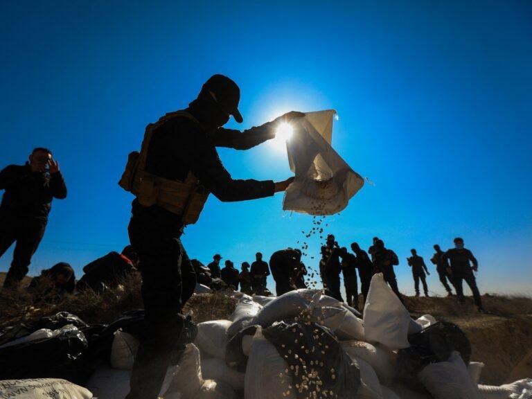 Syria’s Suwayda: A new hub for the multibillion-dollar Captagon trade? | Drugs News