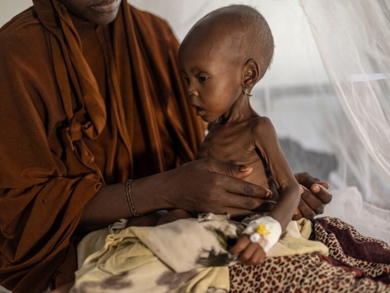 Aid cuts, drought and conflict leave Somalis desperate | Drought News