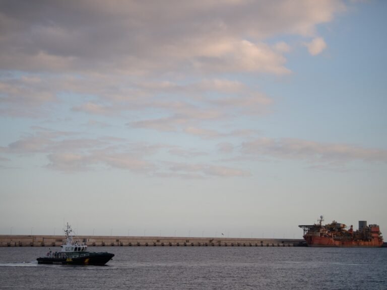 Cruise ship hit by hantavirus outbreak arrives in Tenerife | Health News