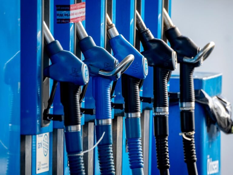 UAE exit from OPEC signals closer alignment with US interests, experts say | OPEC News