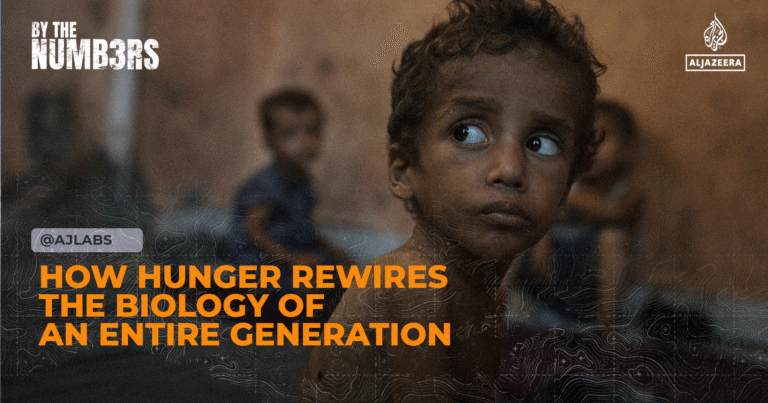 How hunger rewires the biology of an entire generation
