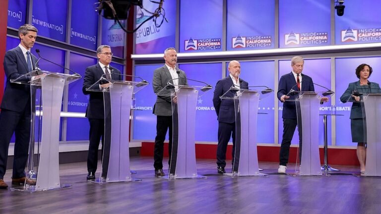 LIZ PEEK: Voter frustration in California could power a Steve Hilton breakthrough
