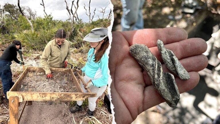 Florida students uncover ancient Native American diet at Cape Canaveral