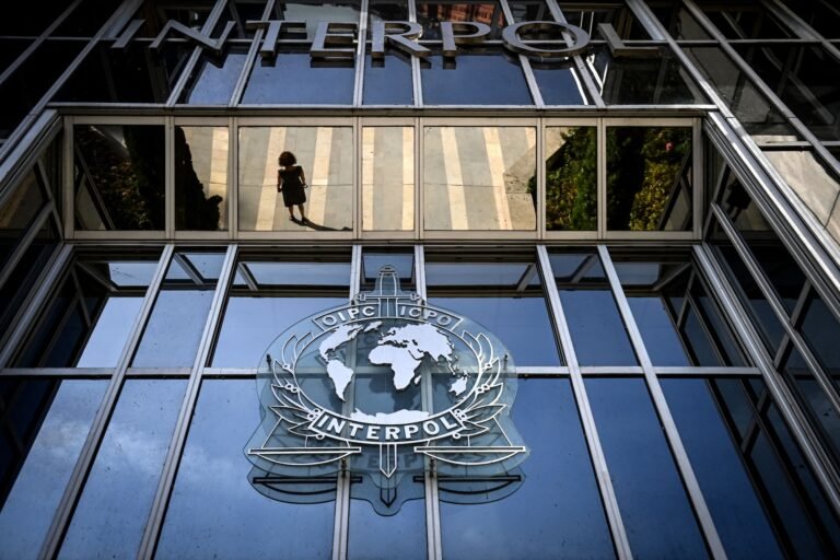 Interpol leads cybercrime crackdown across 13 countries in Middle East, North Africa