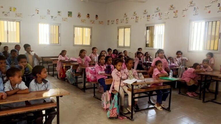 Mauritania’s plan to close private schools sparks backlash | Education