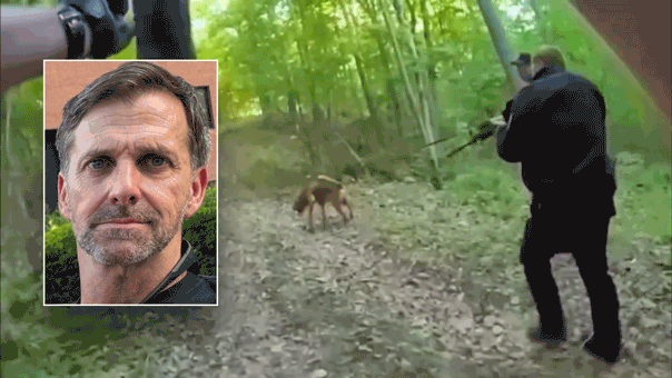 Video shows bloodhound tracking Special Forces shooting suspect Craig Berry