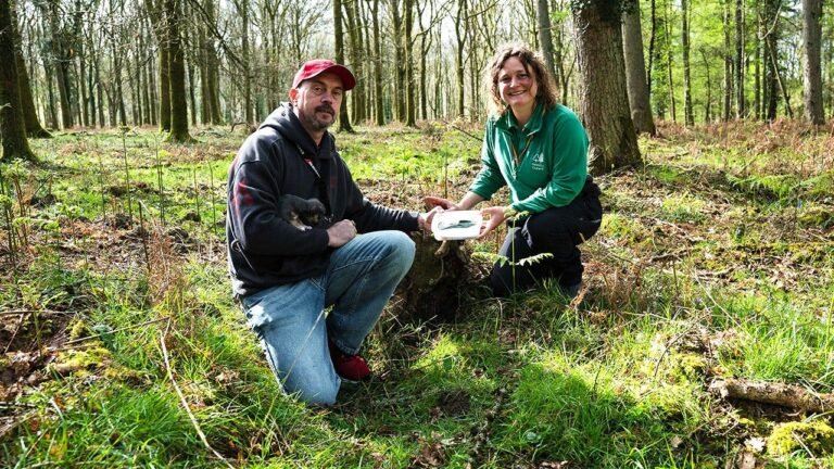Dog walker finds 3,000-year-old Bronze Age axe head in Forest of Dean