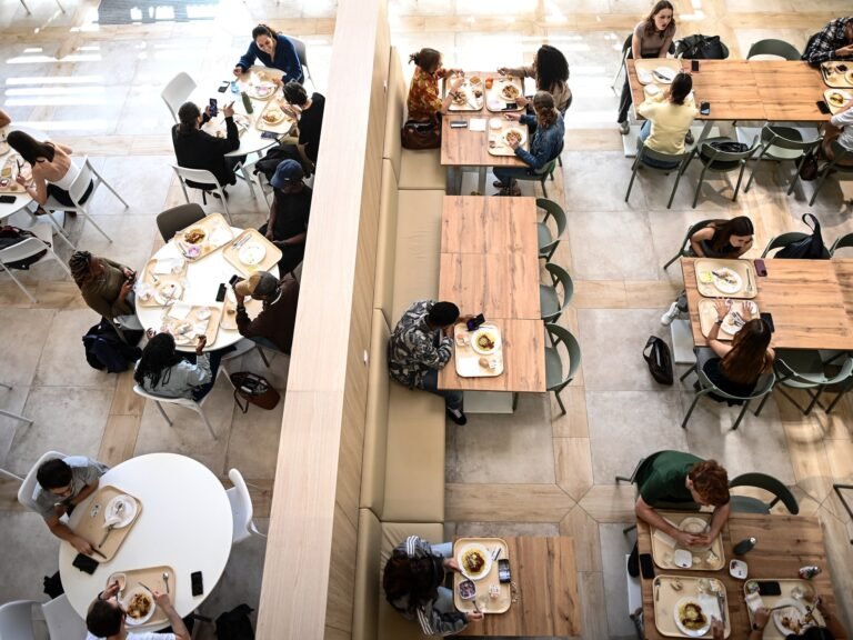 France introduces one‑euro canteen meals for all students | Newsfeed