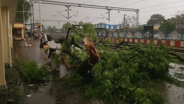 Weather: Alert of rain and storm issued in 15 states of the country, Meteorological Department warned – Weather News Today Imd Issue Alert Of Rain Storm In Many States Advisory