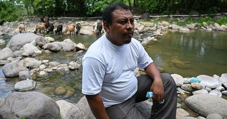 Honduras mayor arrested for masterminding environmentalist’s killing | Crime News