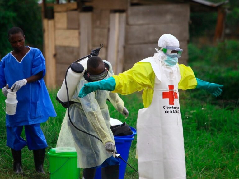 DRC health minister warns ‘very high’ Ebola lethality rate as toll hits 80 | Ebola News